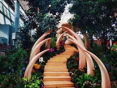 -沈阳植物园