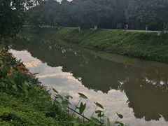 -长洲岛