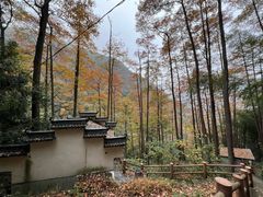 -藏龙百瀑风景区