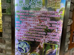 -上海大自然野生昆虫馆(东方明珠·爬宠昆虫探索中心)