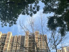 -奥体中心游泳馆