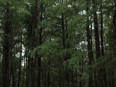 -洛阳白云山景区
