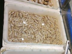 -拉完海鲜大排档(温岭店)