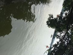 iphone_upload_pic-惠州西湖