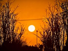 -上海浦江郊野公园-5号停车场