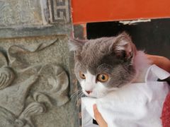-乌山风景区