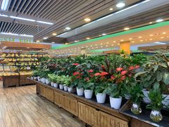 -新荟城(望京店)