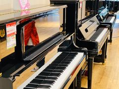 -柏斯音乐艺术中心·钢琴·吉他(上音店)