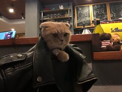 -咖法森林·咖啡  酒吧(天河店)