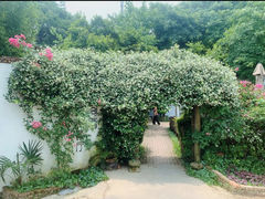 -花间酒庭院餐厅(谷山店)