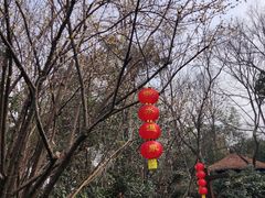 -天目湖御水温泉·度假酒店