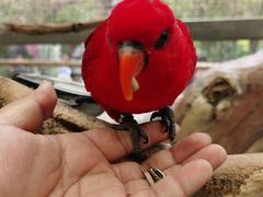 -昆明动物园