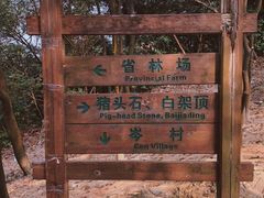 -火炉山森林公园