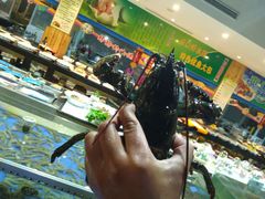 -山东八大碗山东老字号