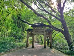 -峨眉山报国寺