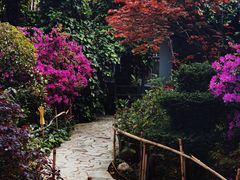 -阳光山水江湖菜馆(西山龙门店)