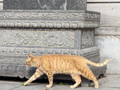 -宝通禅寺