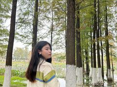 -艾溪湖湿地公园