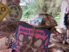 -大象粑粑造纸公园