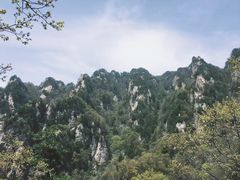 -王顺山国家森林公园
