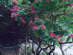 -鸿山公园