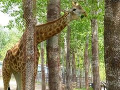 -大连森林动物园