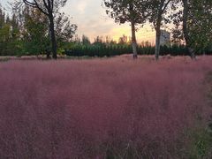 -汉长安城未央宫国家考古遗址公园