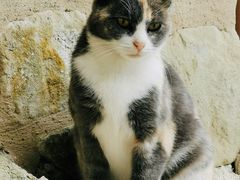 -梅黛奥拉修道院