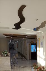 -雪儿海蒂·女性私密整形专科