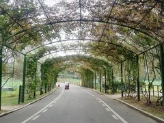 -沈阳植物园