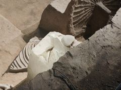 -洛阳周王城天子驾六博物馆