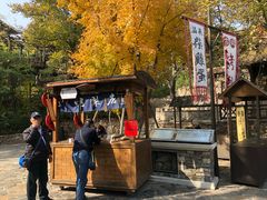 -古北烤梨