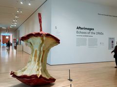 -旧金山现代艺术博物馆