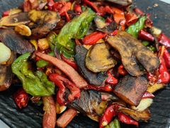 -蘑统田下·野生菌火锅