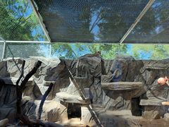 -青藏高原野生动物园