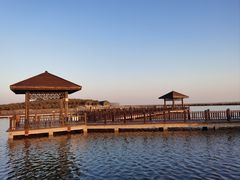 -南大港湿地风景区