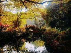 -昆山城市生态森林公园