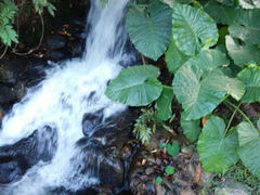 android_upload_pic-四会奇石河风景区