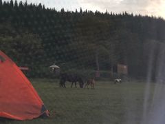 -武陵山森林公园
