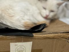 -清真·穆萨砂锅(大皮院店)