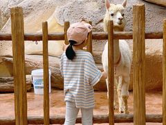 -杭州开元森泊度假乐园