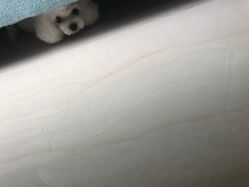 -肌理言健康美肌驻颜所