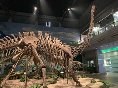 -自贡恐龙博物馆