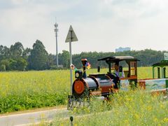 -光明小镇欢乐田园