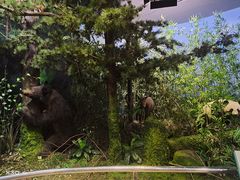 -陕西自然博物馆