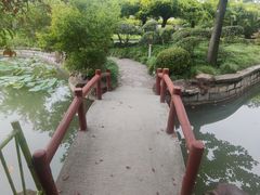 -嘉定紫藤园