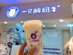 -一只酸奶牛(八一路店)