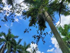 -嘉和K6温泉微度假