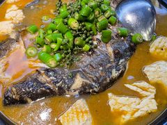 -探鱼·鲜青椒爽麻烤鱼(苏宁广场店)
