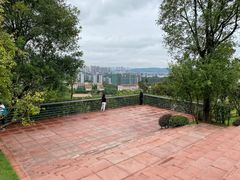 -铁山坪森林公园